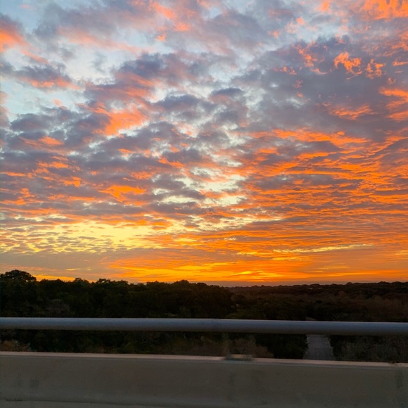 Meet your Posher, Mia - Picture 1 of 1